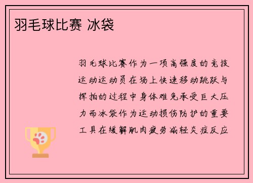 羽毛球比赛 冰袋